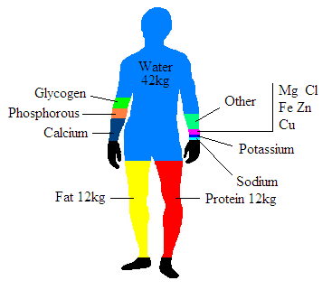 elements weight with chemical molecular detection for Other composition: body of methods
