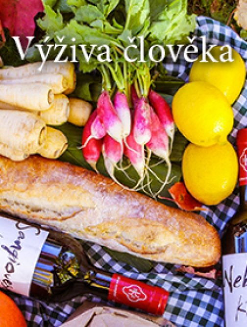 Výživa člověka