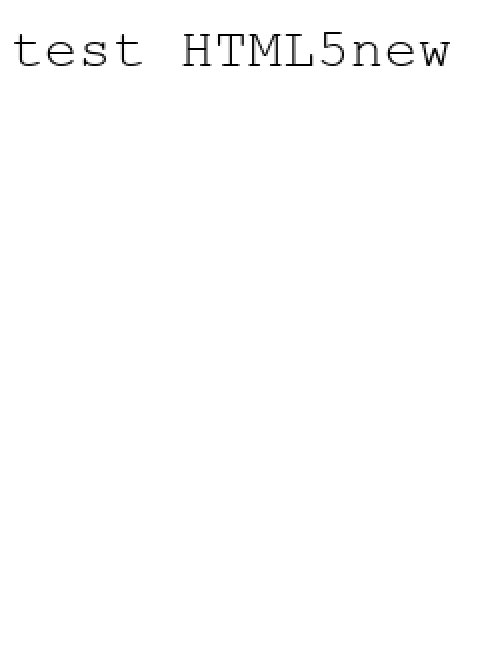 test HTML5new