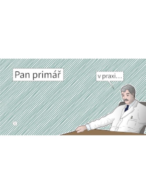 Pan primář v praxi DEMO
