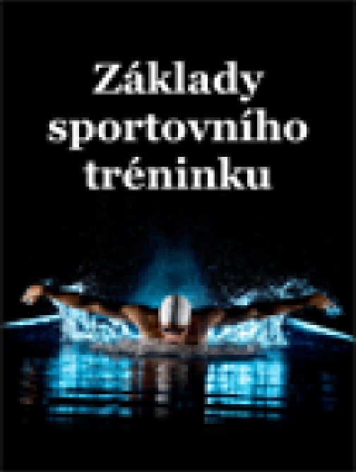 Základy sportovního tréninku