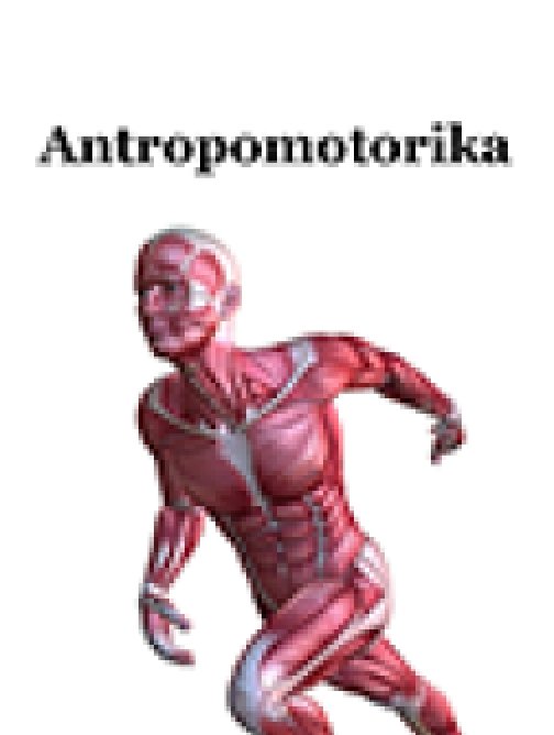 Antropomotorika