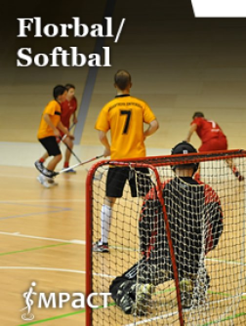 Florbal/Softball