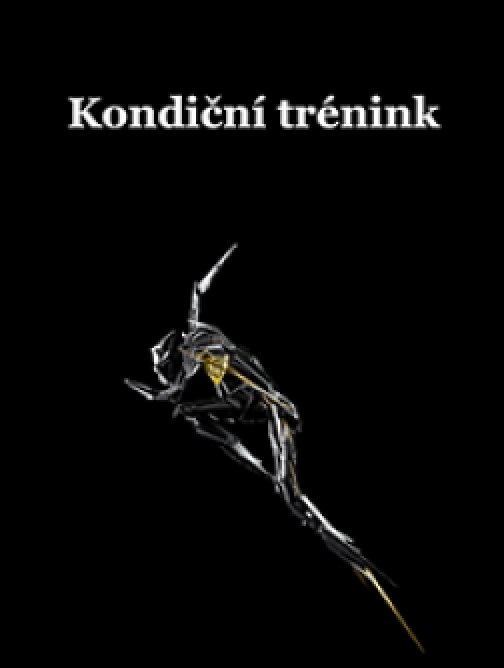 Kondiční trénink