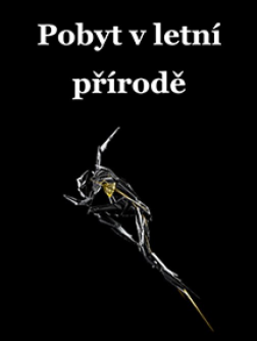 Pobyt v letní přírodě