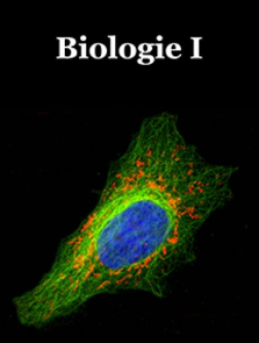 Lékařská biologie I