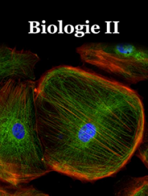 Lékařská biologie II