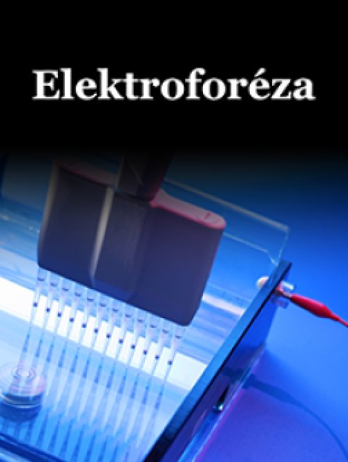 Elektroforéza