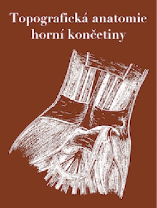 Topografická anatomie horní končetiny