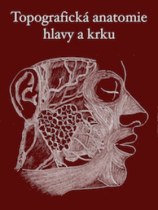 Topografická anatomie hlavy a krku