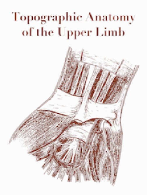 Topographic Anatomy of the Upper Limb