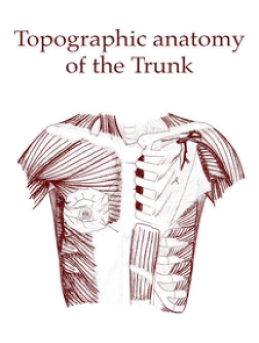 Topographic anatomy of the Trunk