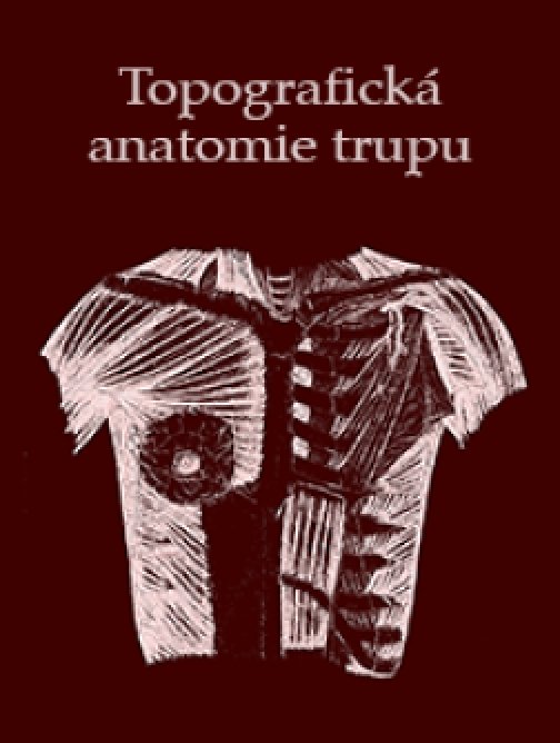 Topografická anatomie trupu