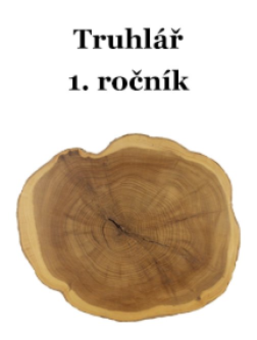Učební text pro obor Truhlář, 1. ročník