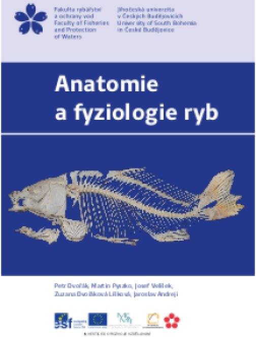 Anatomie a fyziologie ryb