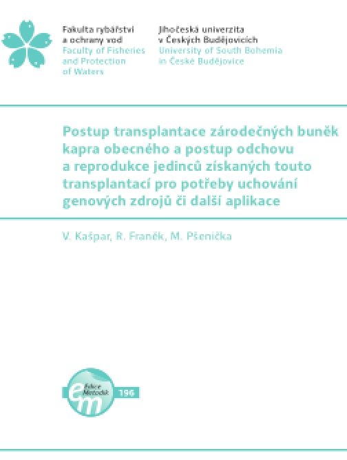 Postup transplantace zárodečných buněk kapra…
