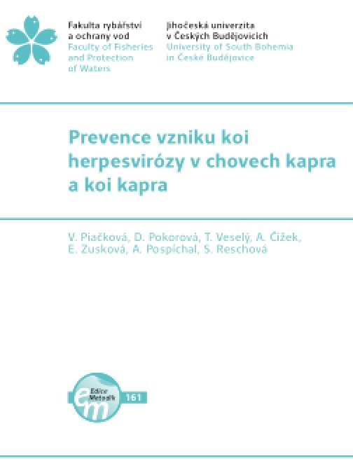 Prevence vzniku koi herpesvirózy v chovech kapra a…