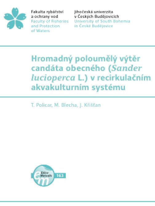Hromadný poloumělý výtěr candáta obecného (Sander…