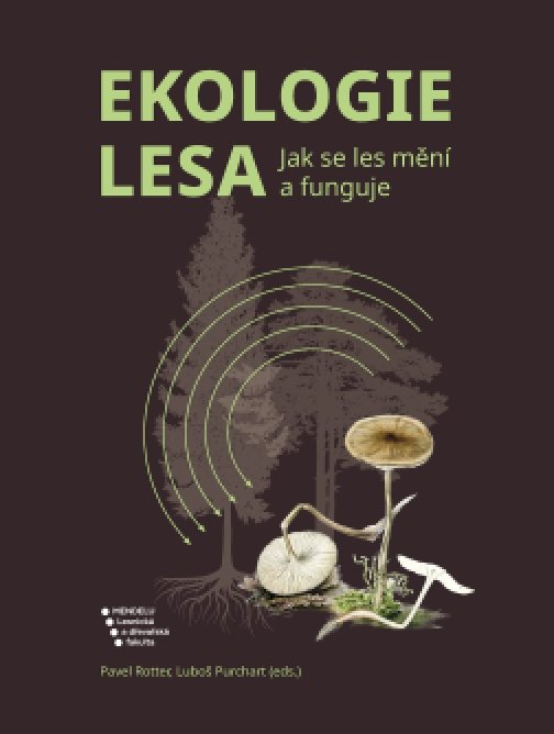 Ekologie lesa: Jak se les mění a funguje