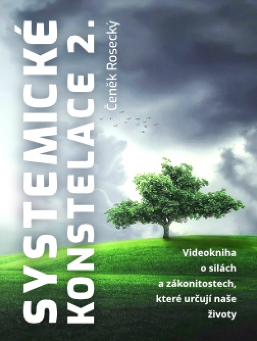 Systemické konstelace II.